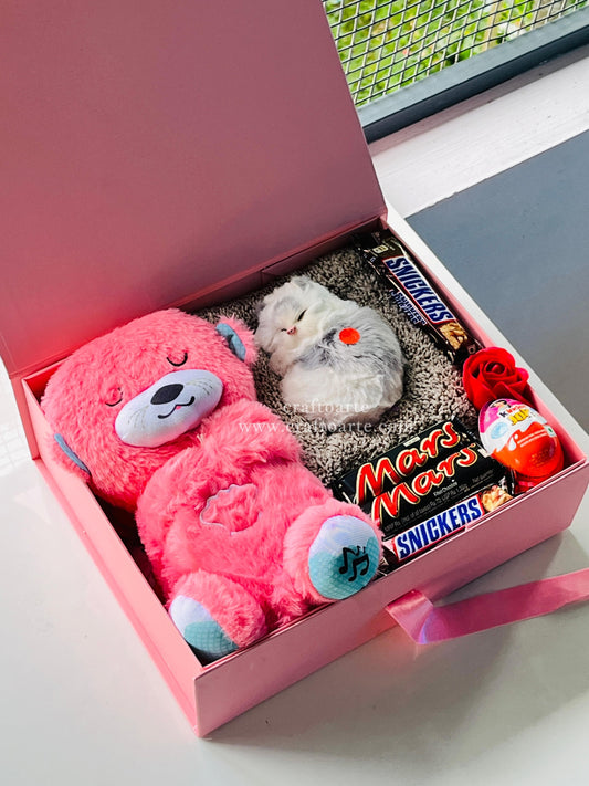 Cute Breathing  Teddy Gift Hamper with Sleeping cat  & Assorted Chocolates